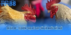 AnyConv.com da ga 88 768x384 1 300x150 1