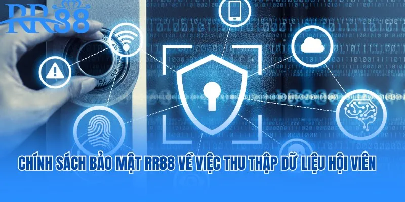 Chính sách bảo mật RR88 về việc thu thập dữ liệu hội viên