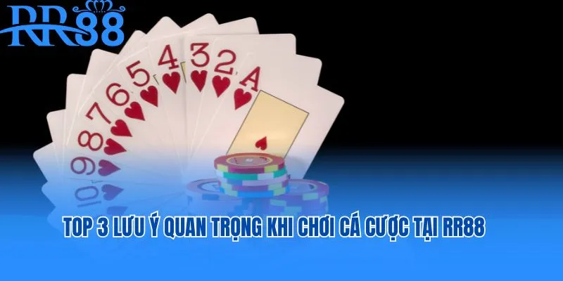 Top 3 lưu ý quan trọng khi chơi cá cược tại RR88